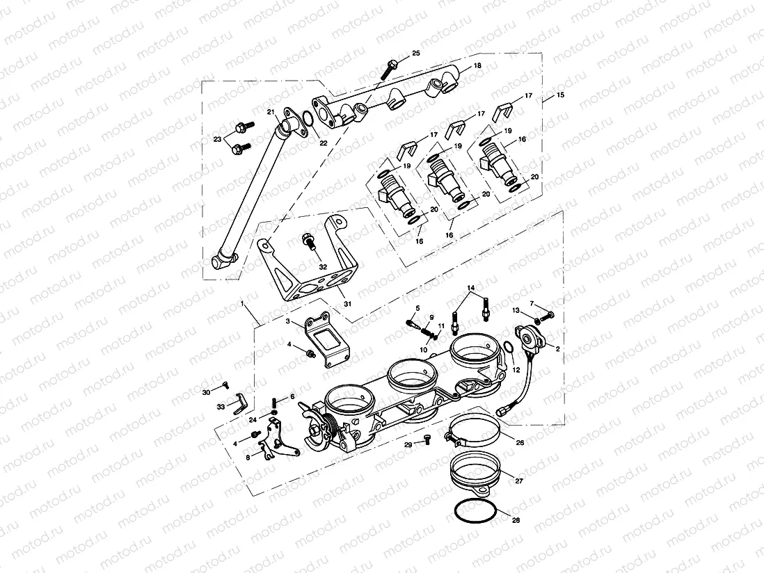 Throttles/Injectors and Fuel Rail 207555 >