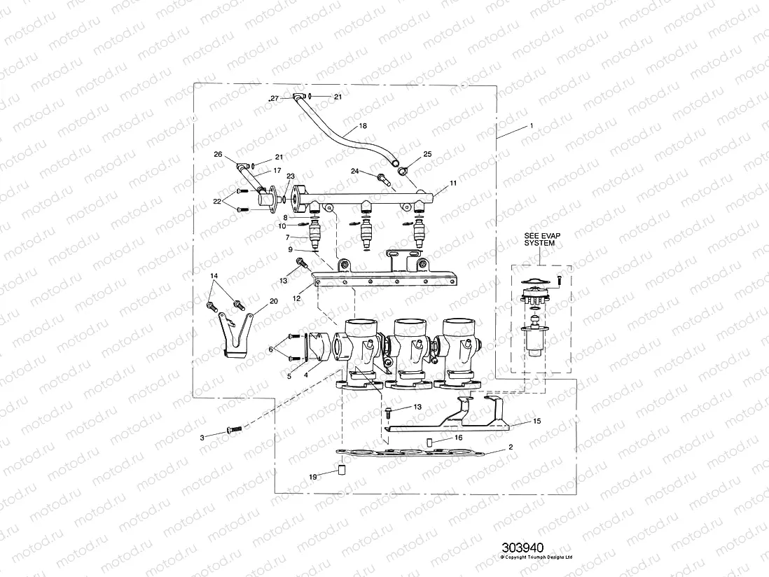 Throttles,Injectors & Fuel Rail
