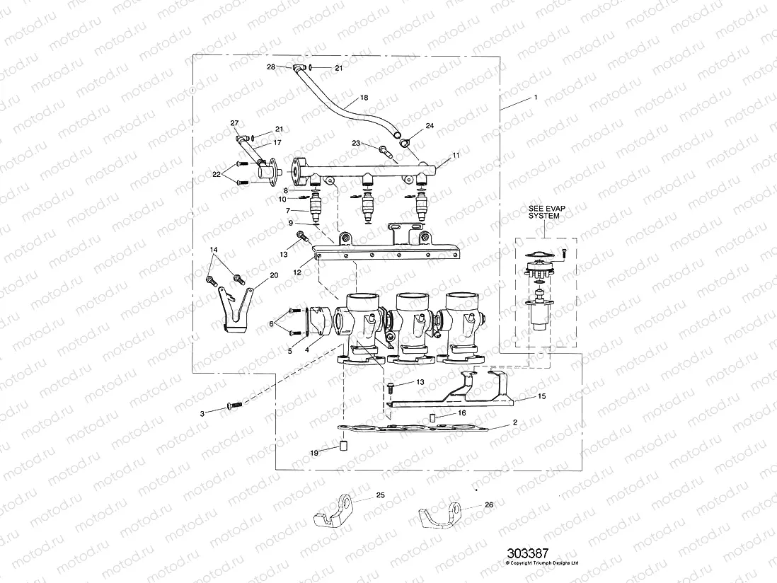 Throttles,Injectors & Fuel Rail