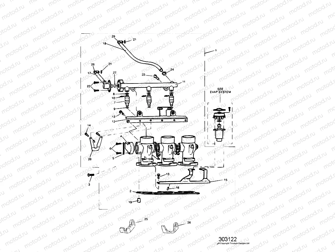 Throttles,Injectors & Fuel Rail
