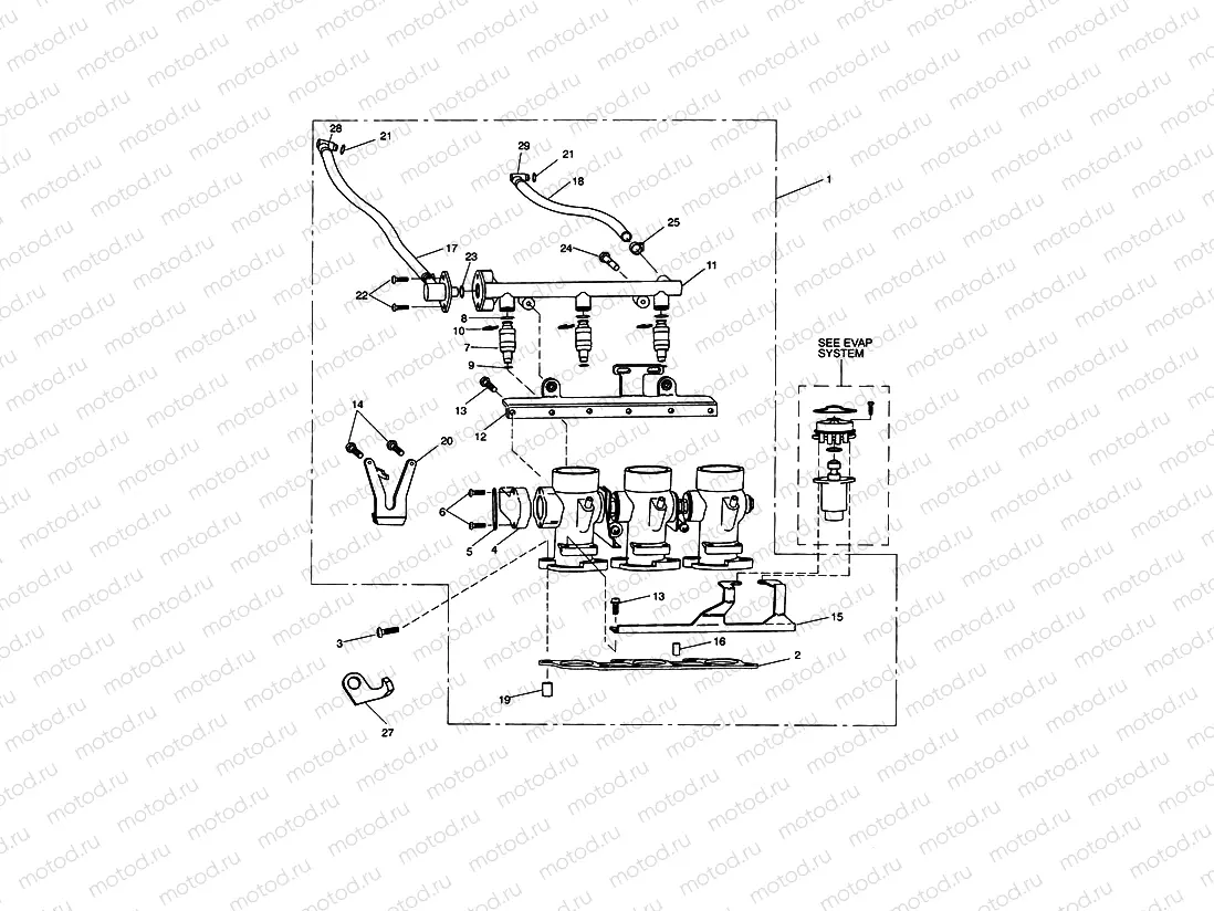 Throttles,Injectors & Fuel Rail