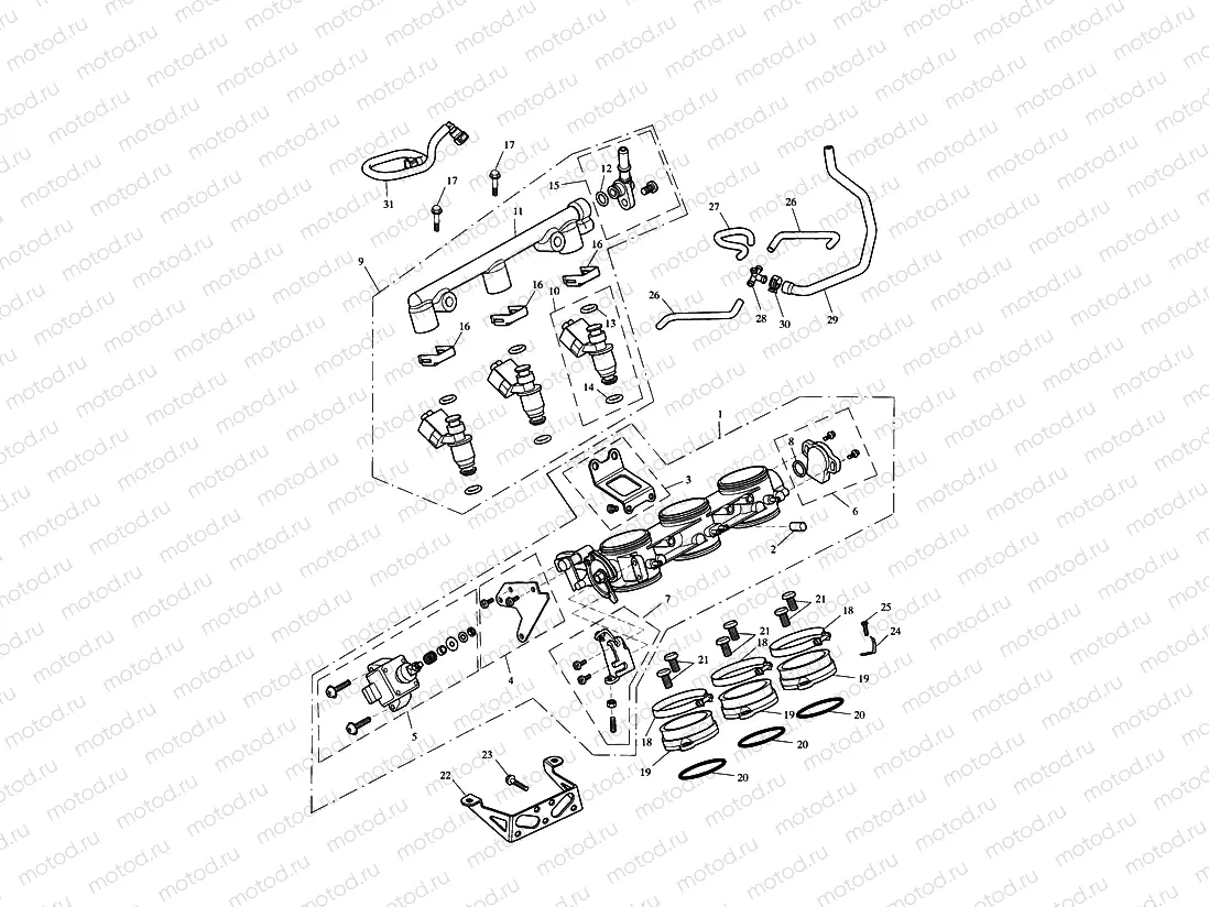 Throttles,Injectors & Fuel Rail
