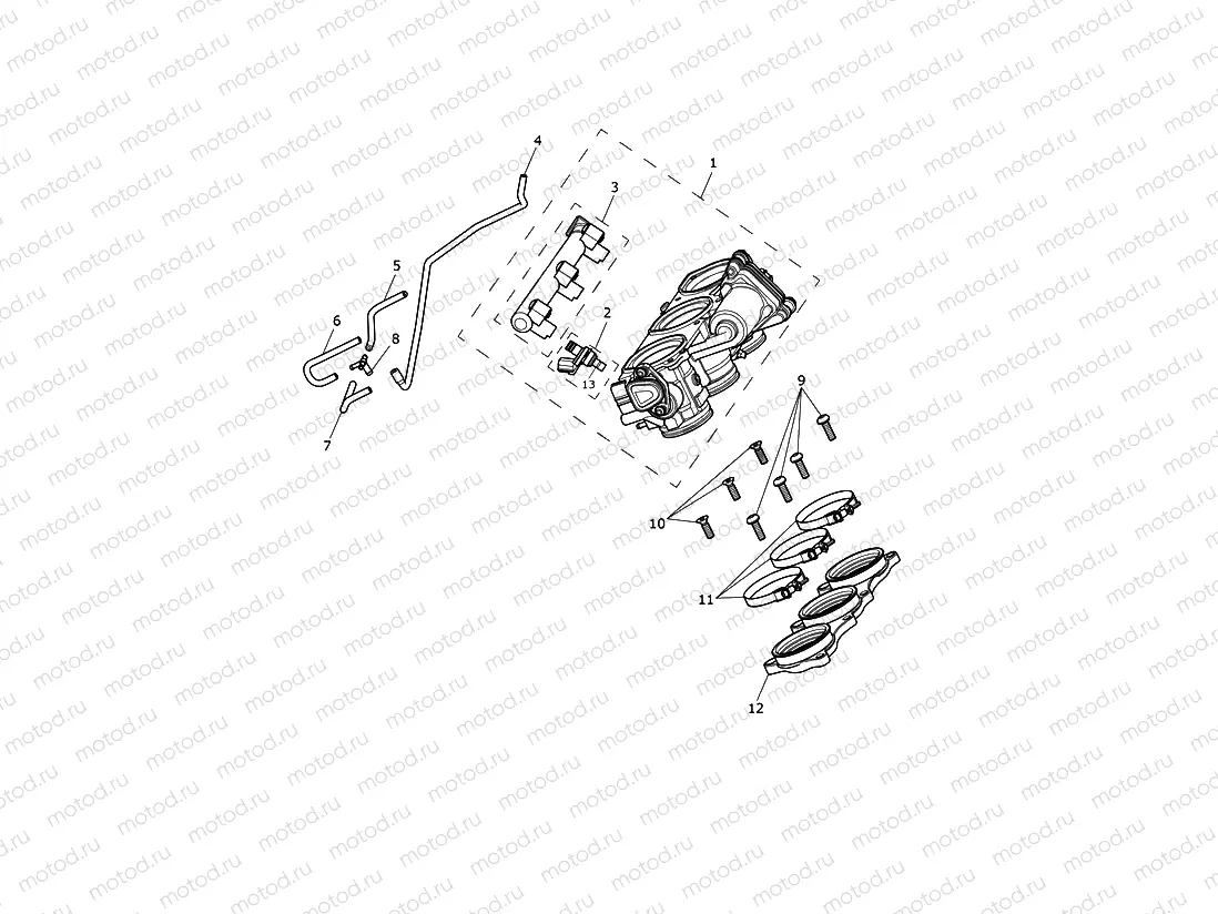 Throttles,Injectors & Fuel Rail