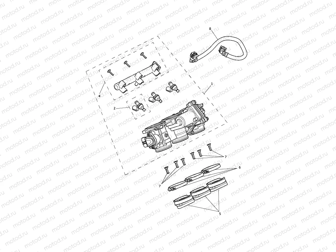 Throttles,Injectors & Fuel Rail