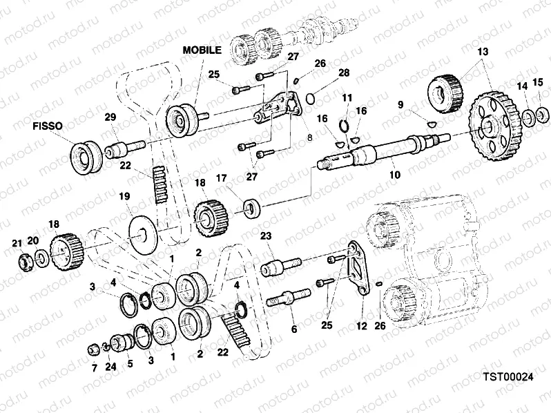 TIMING BELT » UNCLASSIFIED