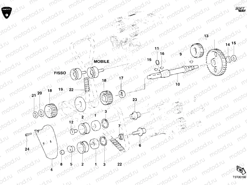 TIMING BELT » UNCLASSIFIED