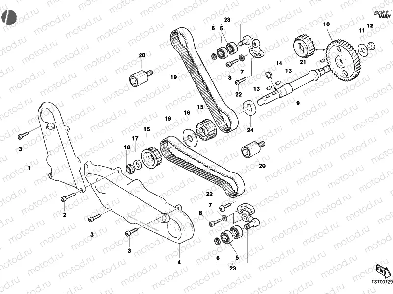 TIMING BELT » UNCLASSIFIED