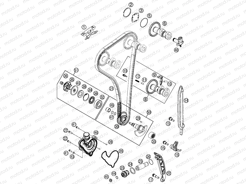TIMING DRIVE|Engine|36