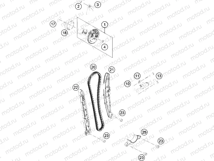 TIMING DRIVE|Engine|36