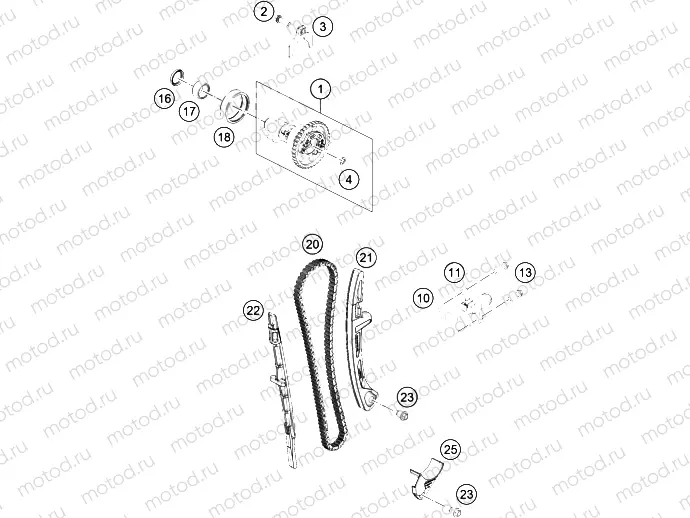 TIMING DRIVE|Engine|36