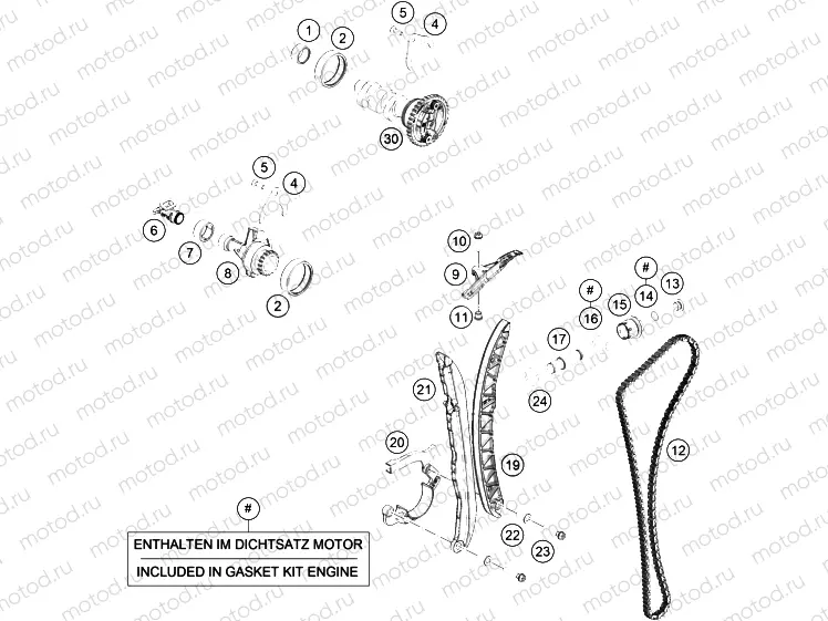 TIMING DRIVE|Engine|36