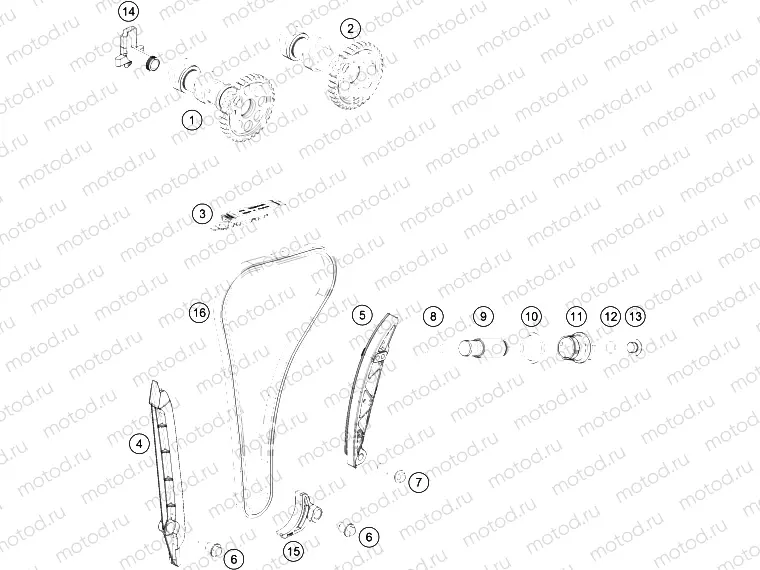 TIMING DRIVE|Engine|36