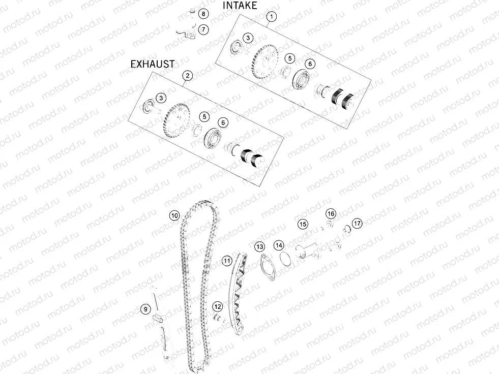 TIMING DRIVE|Engine|36