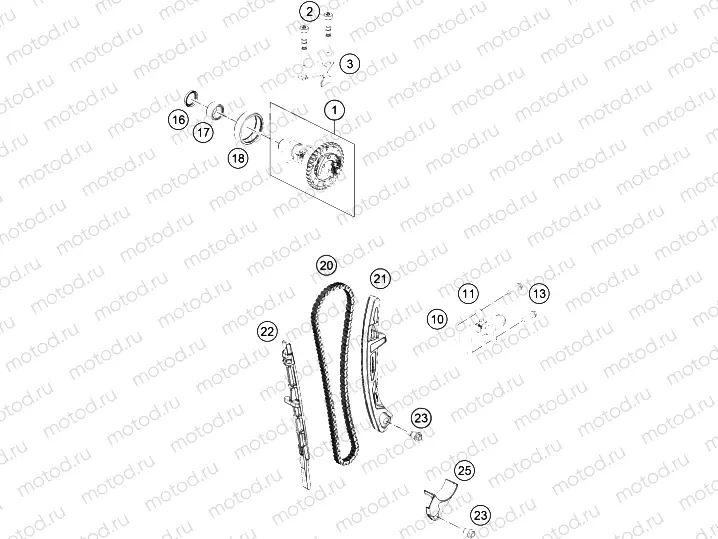 TIMING DRIVE|Engine|36