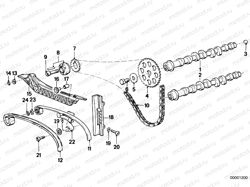 Timing gear - cam shaft/chain drive