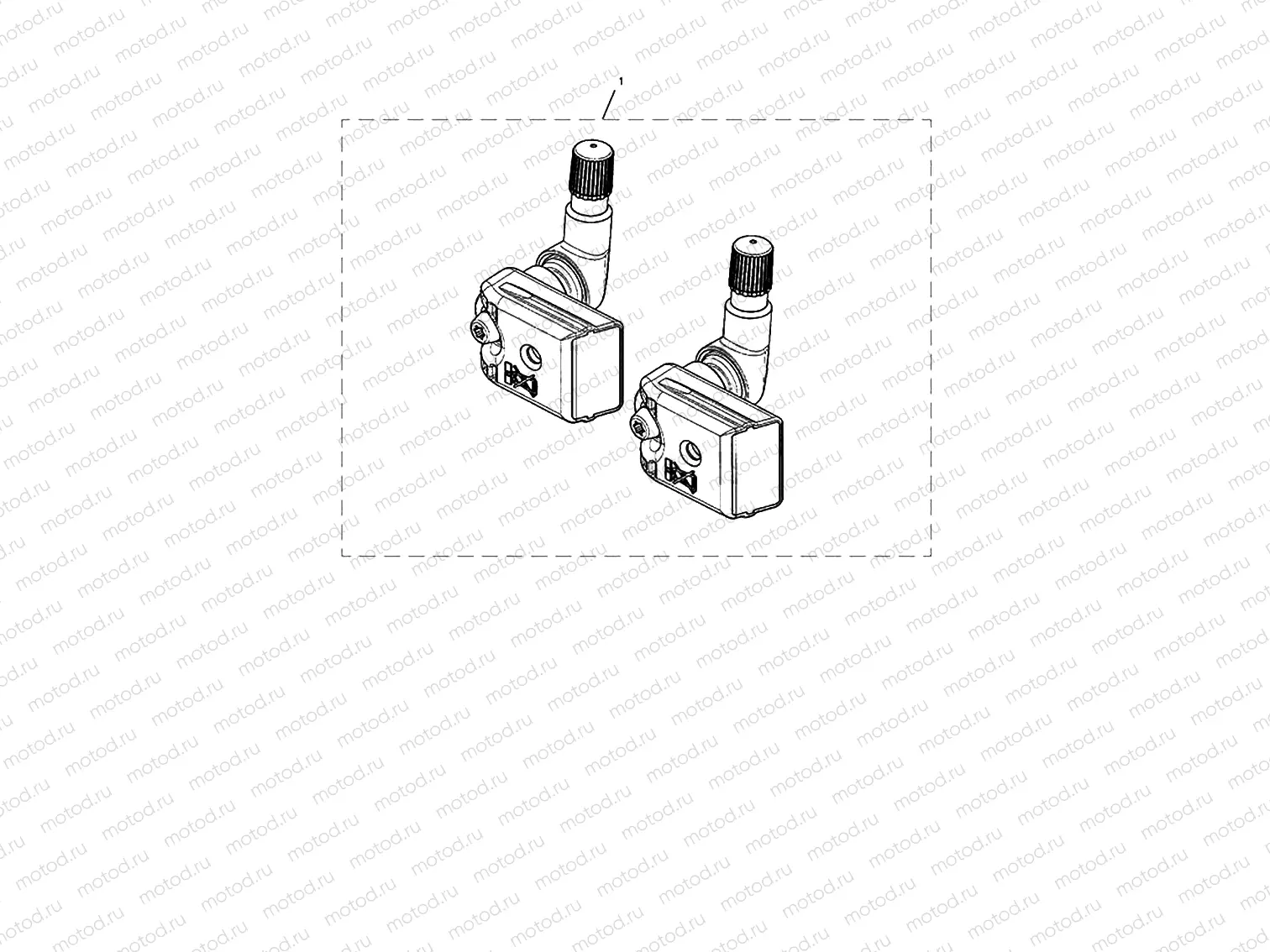 TPMS