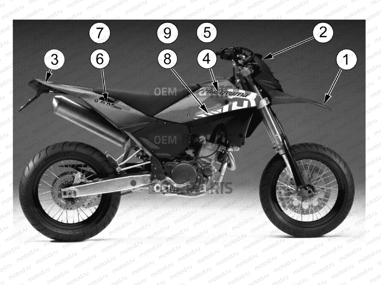 TRANSFERS (SM - BLACK)