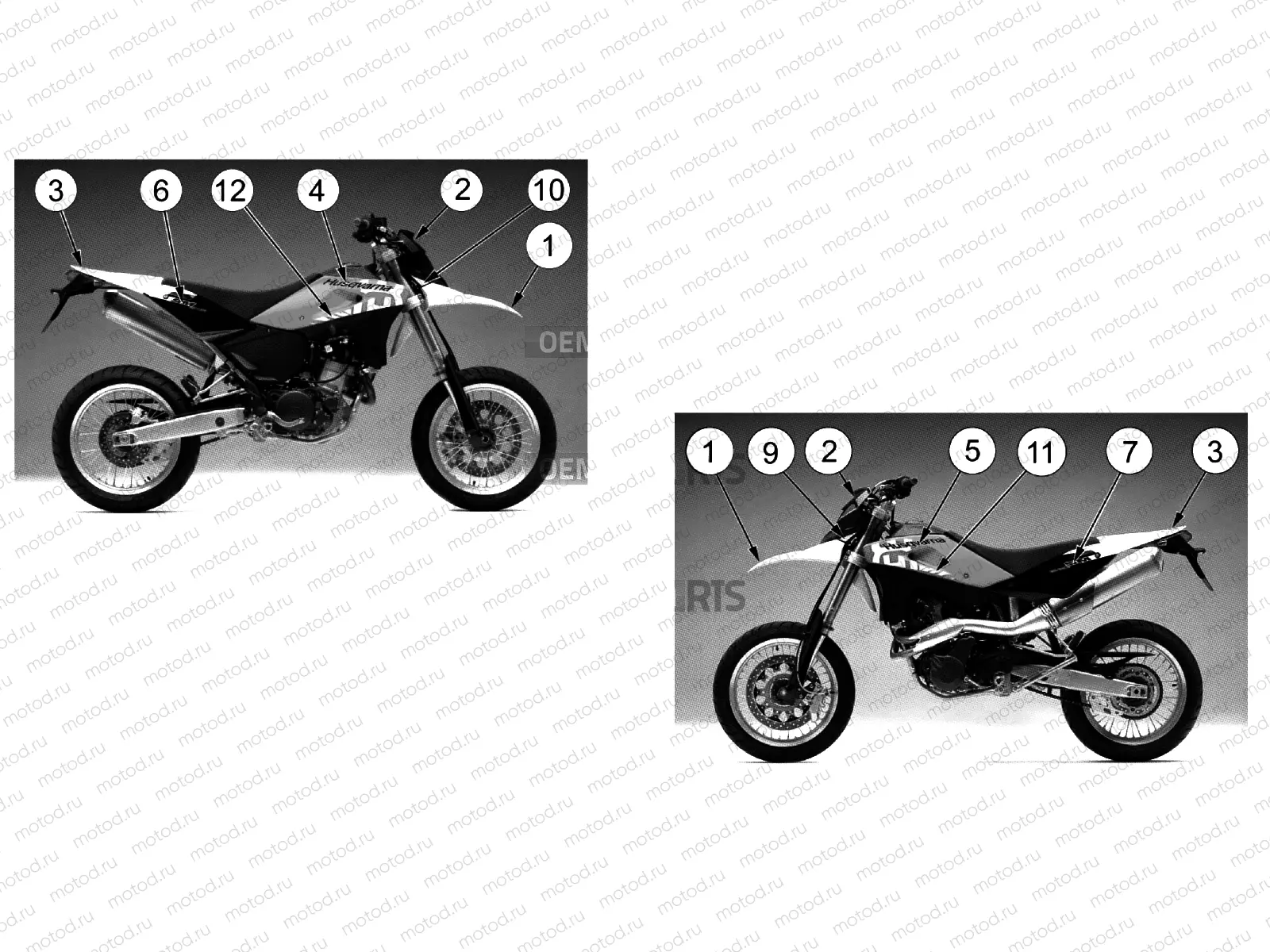 TRANSFERS (SM - WHITE/RED)