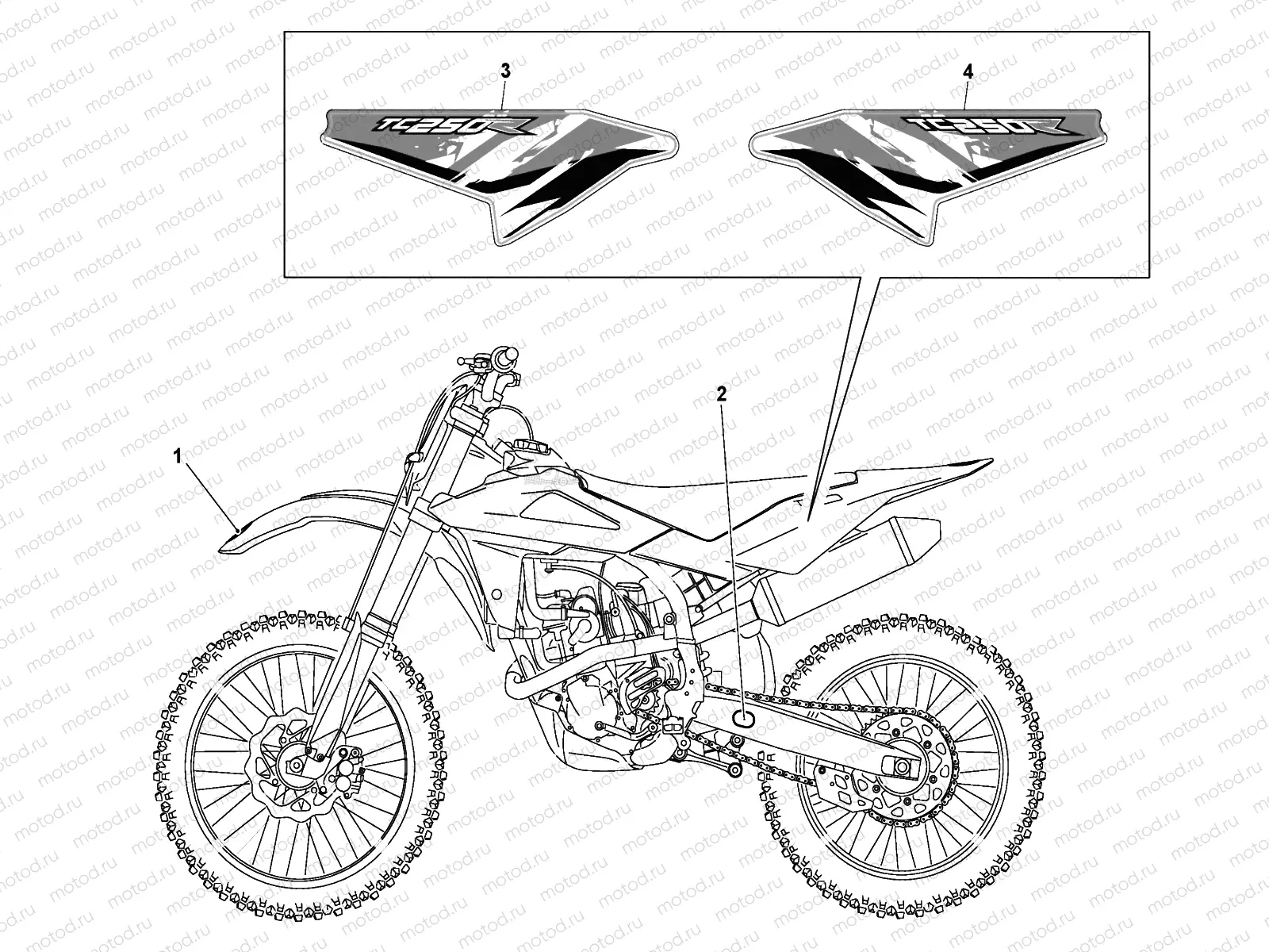 TRANSFERS (TC 250)