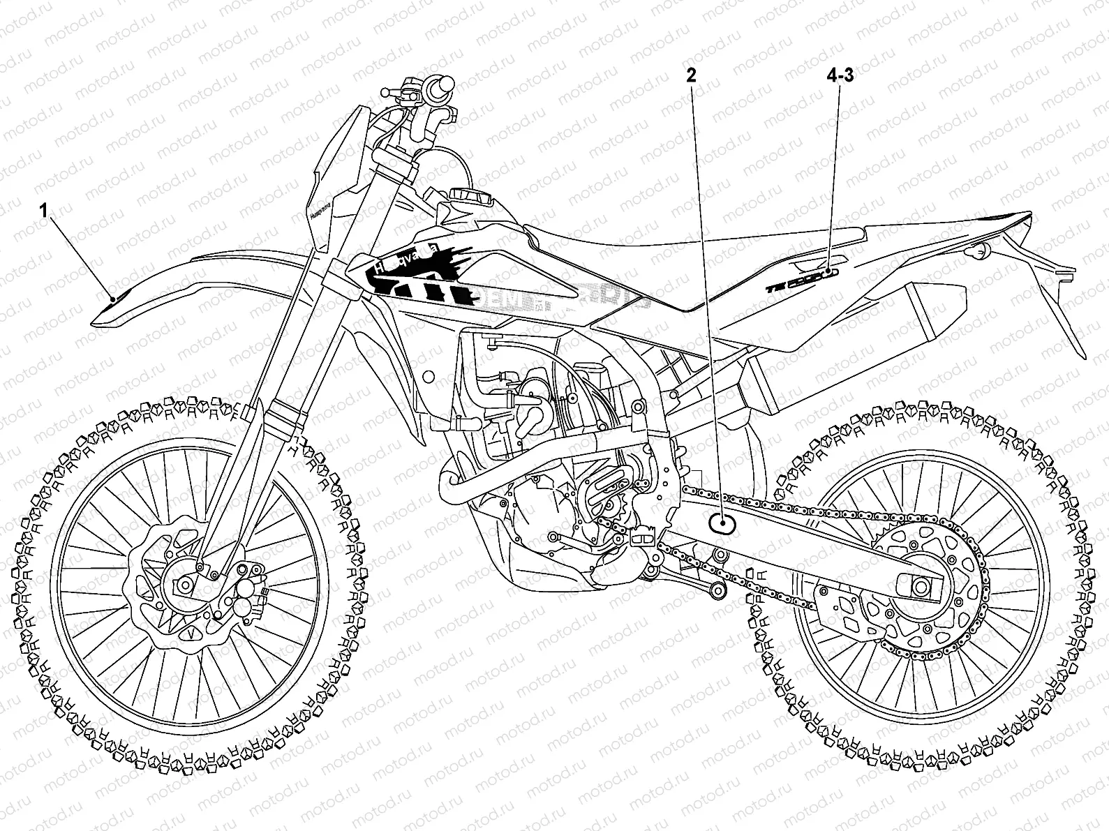 TRANSFERS (TE 250)