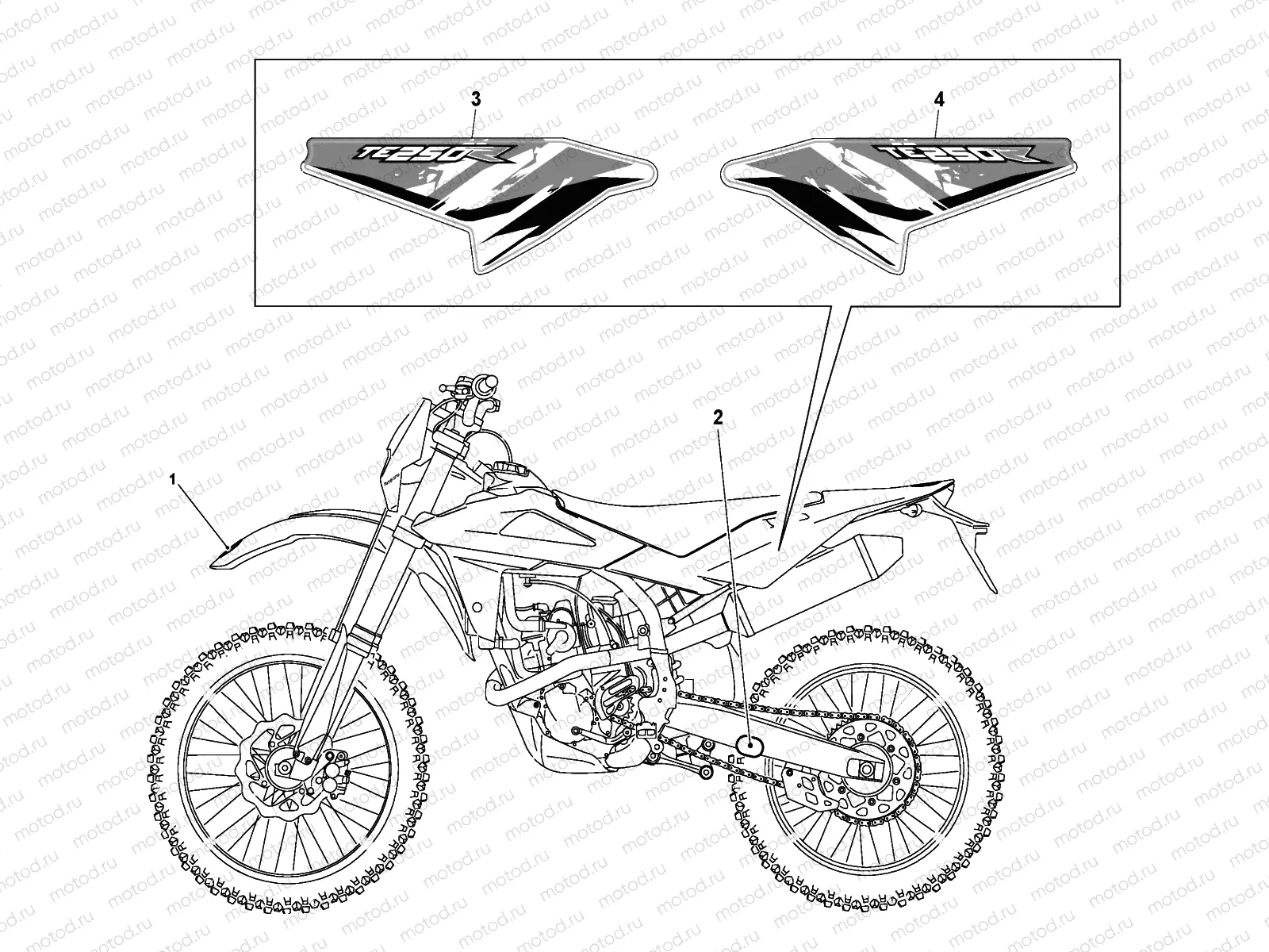 TRANSFERS (TE 250)
