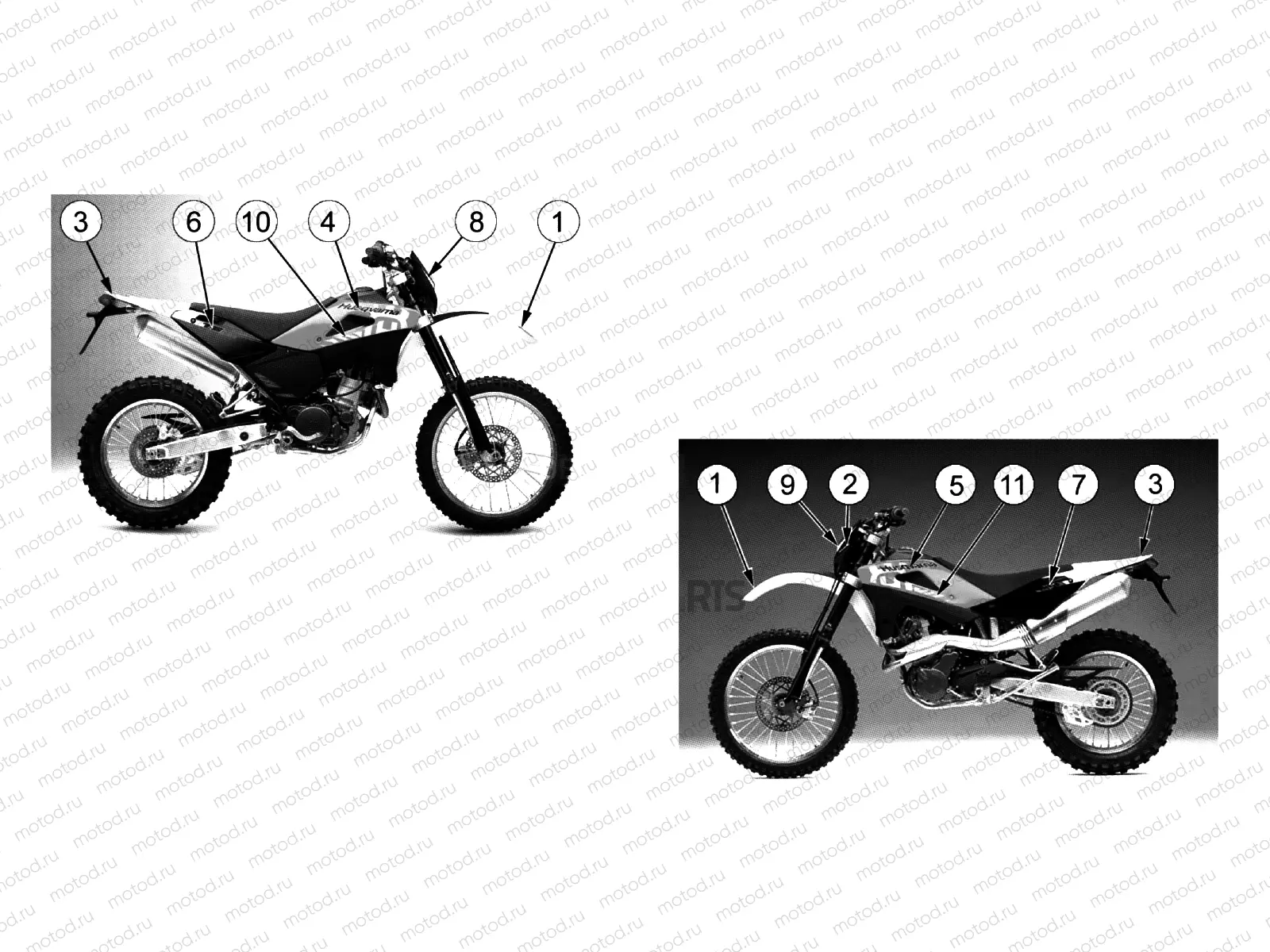 TRANSFERS (TE - WHITE/RED)