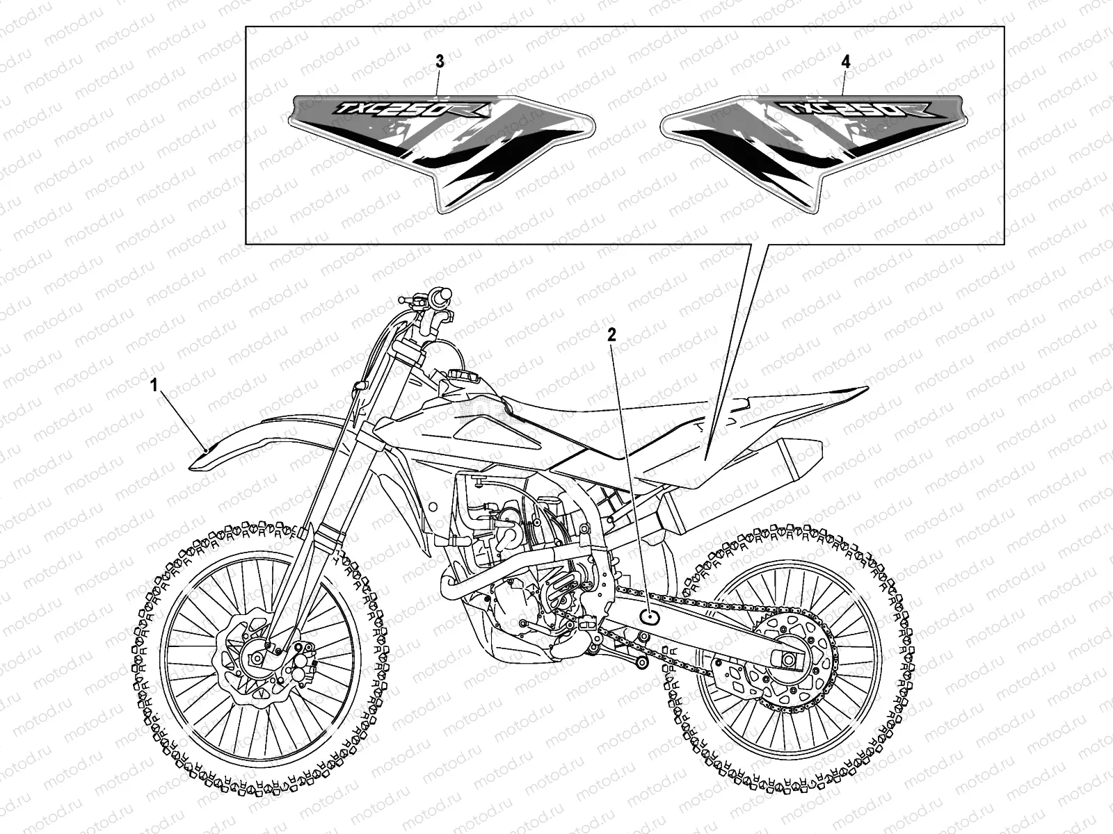 TRANSFERS (TXC 250)