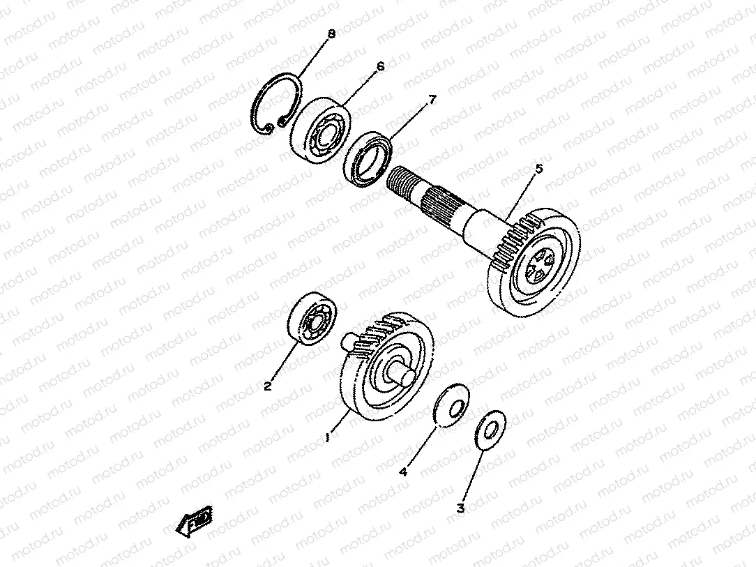TRANSMISSION