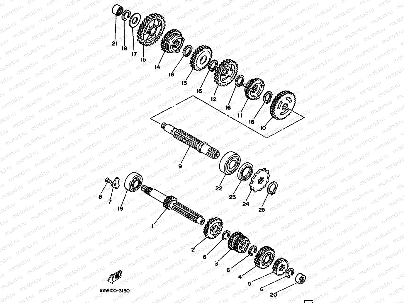 TRANSMISSION