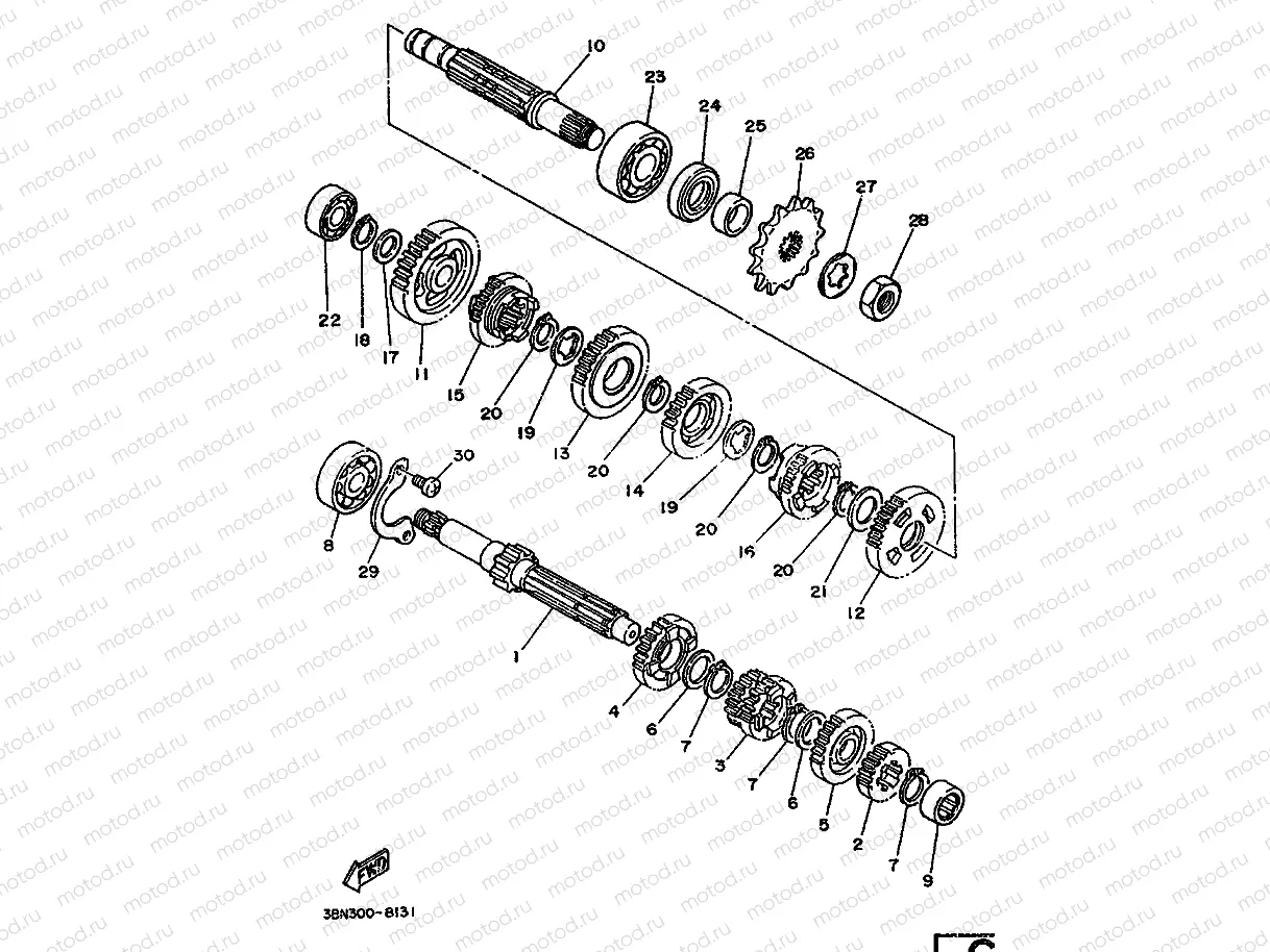 TRANSMISSION