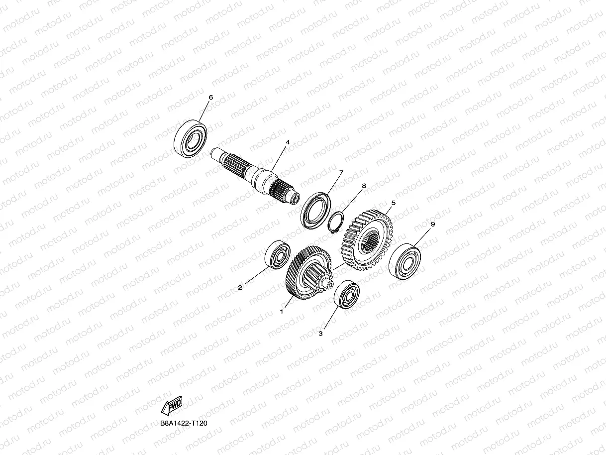TRANSMISSION
