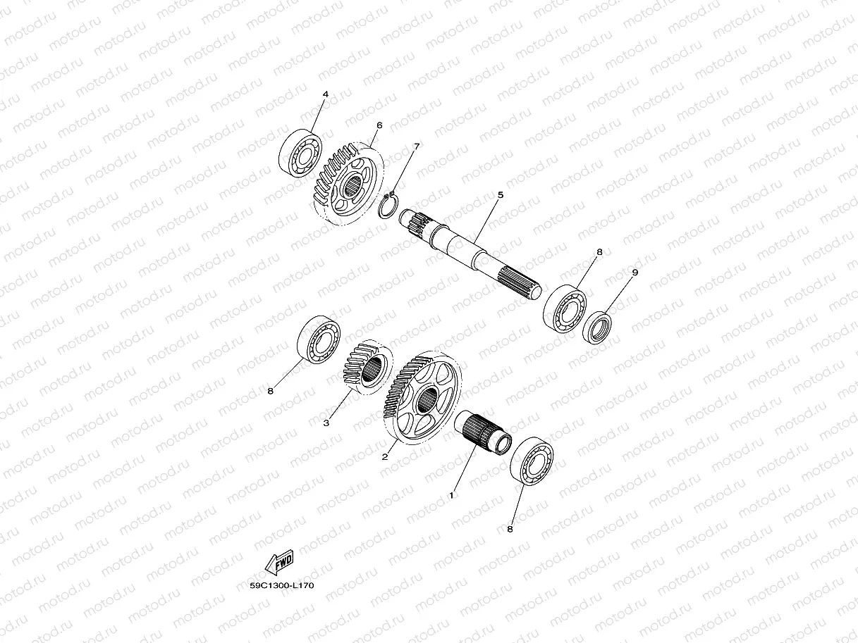TRANSMISSION