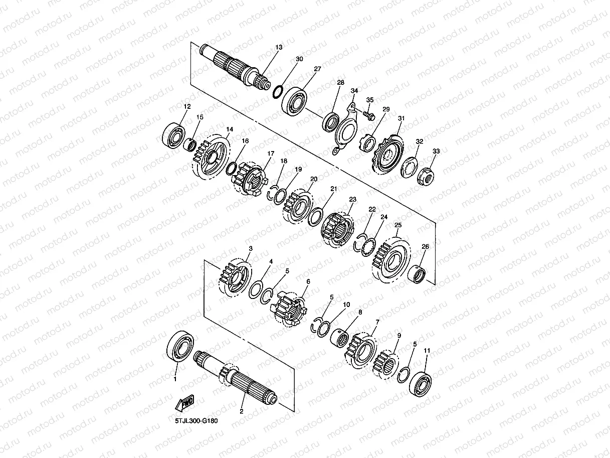 TRANSMISSION