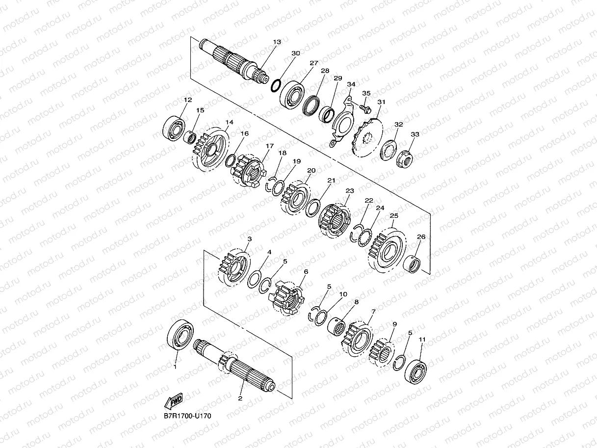 TRANSMISSION
