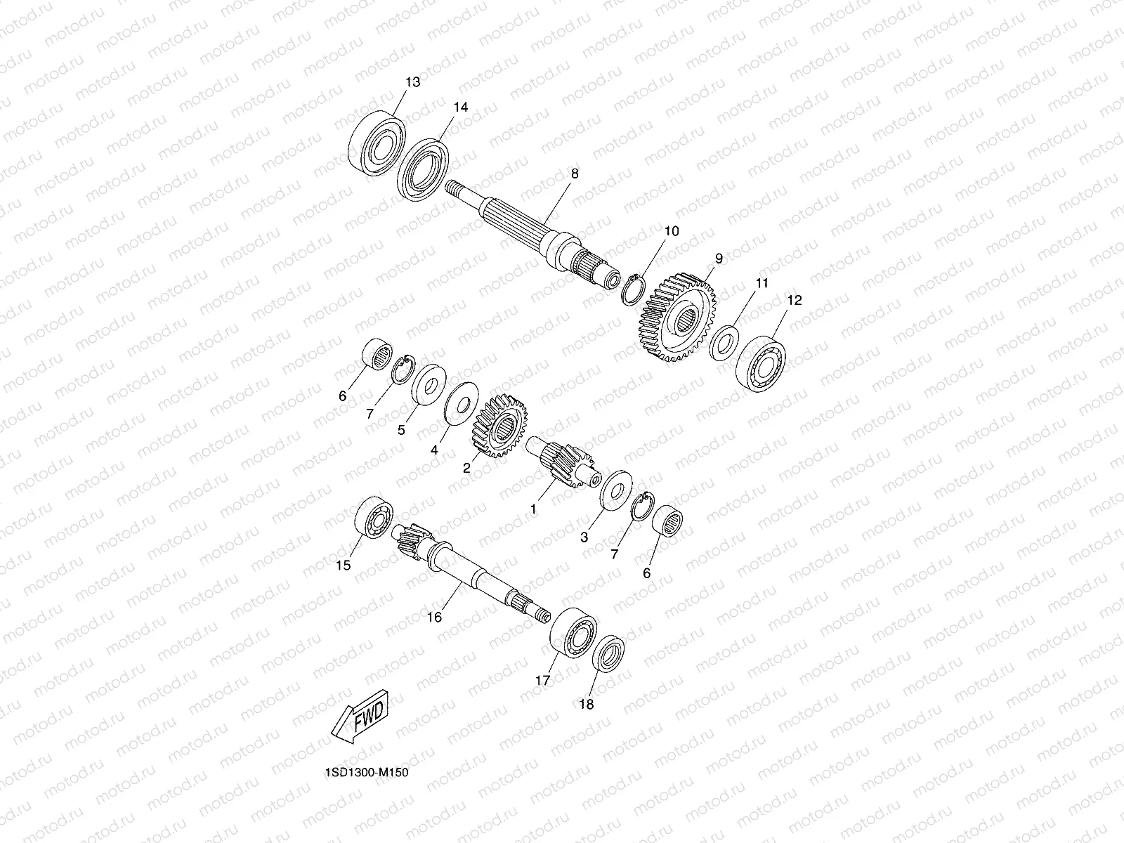 TRANSMISSION