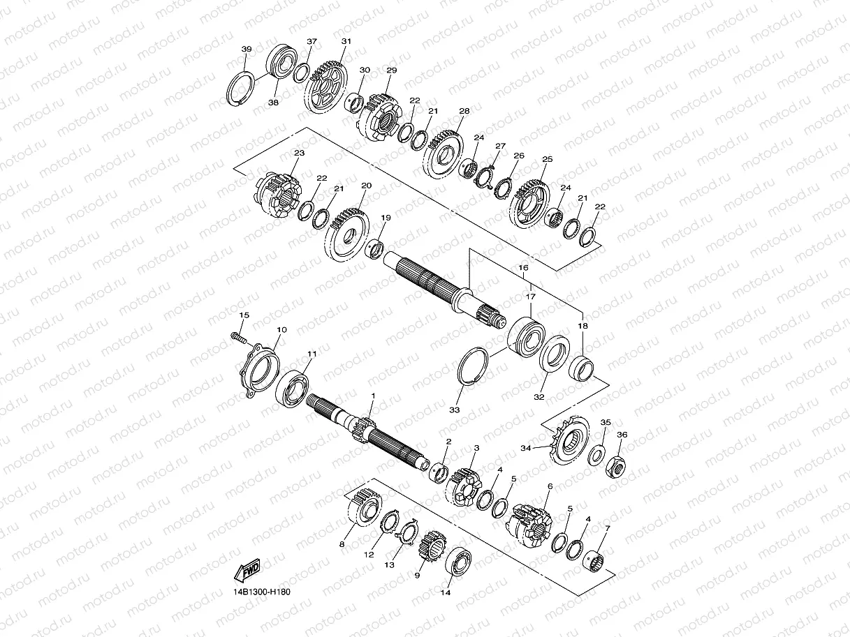 TRANSMISSION