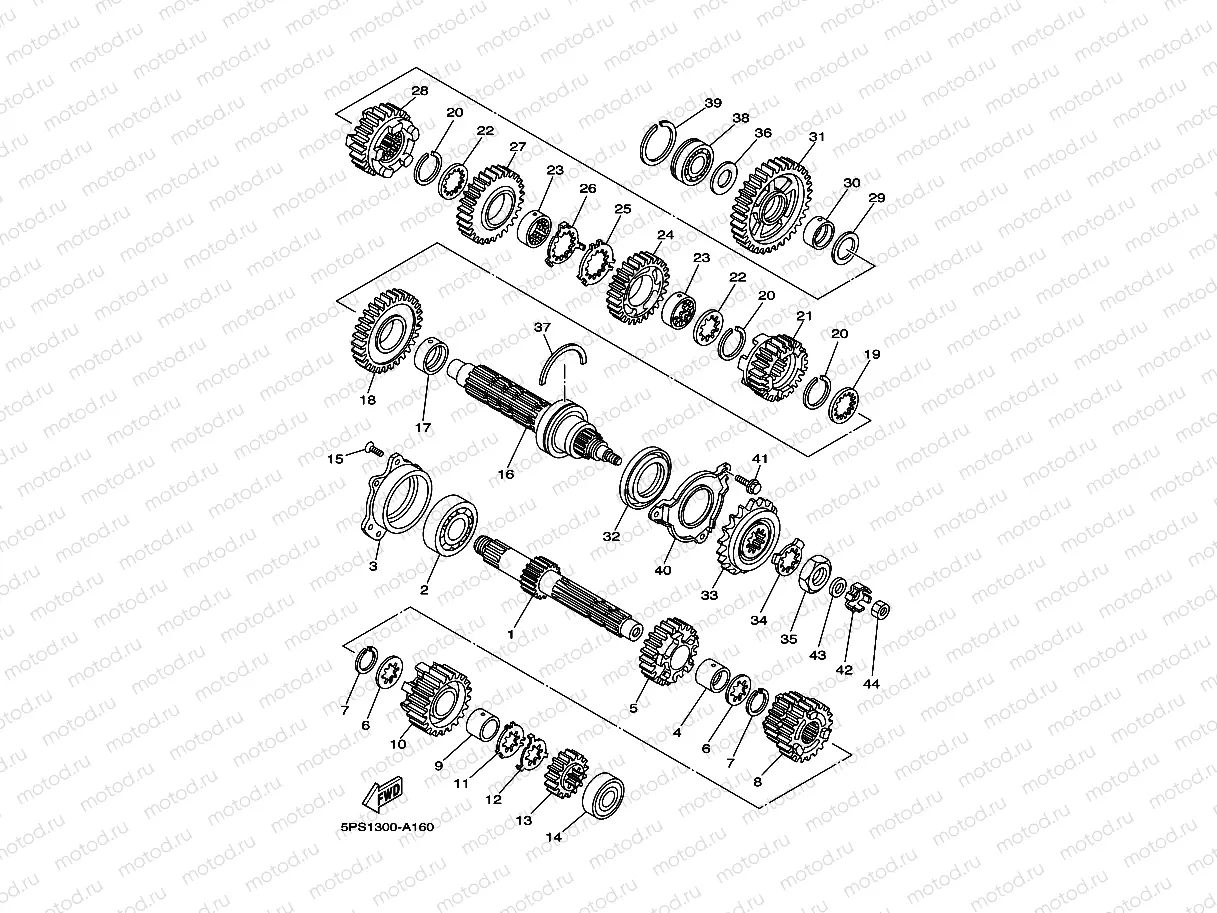 TRANSMISSION
