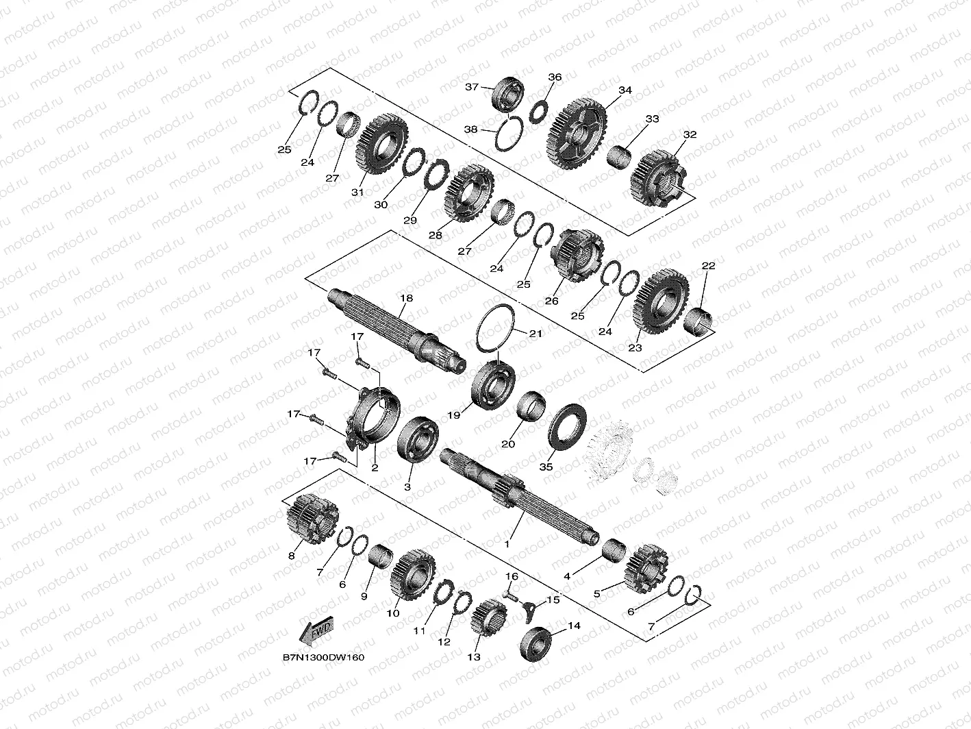 TRANSMISSION