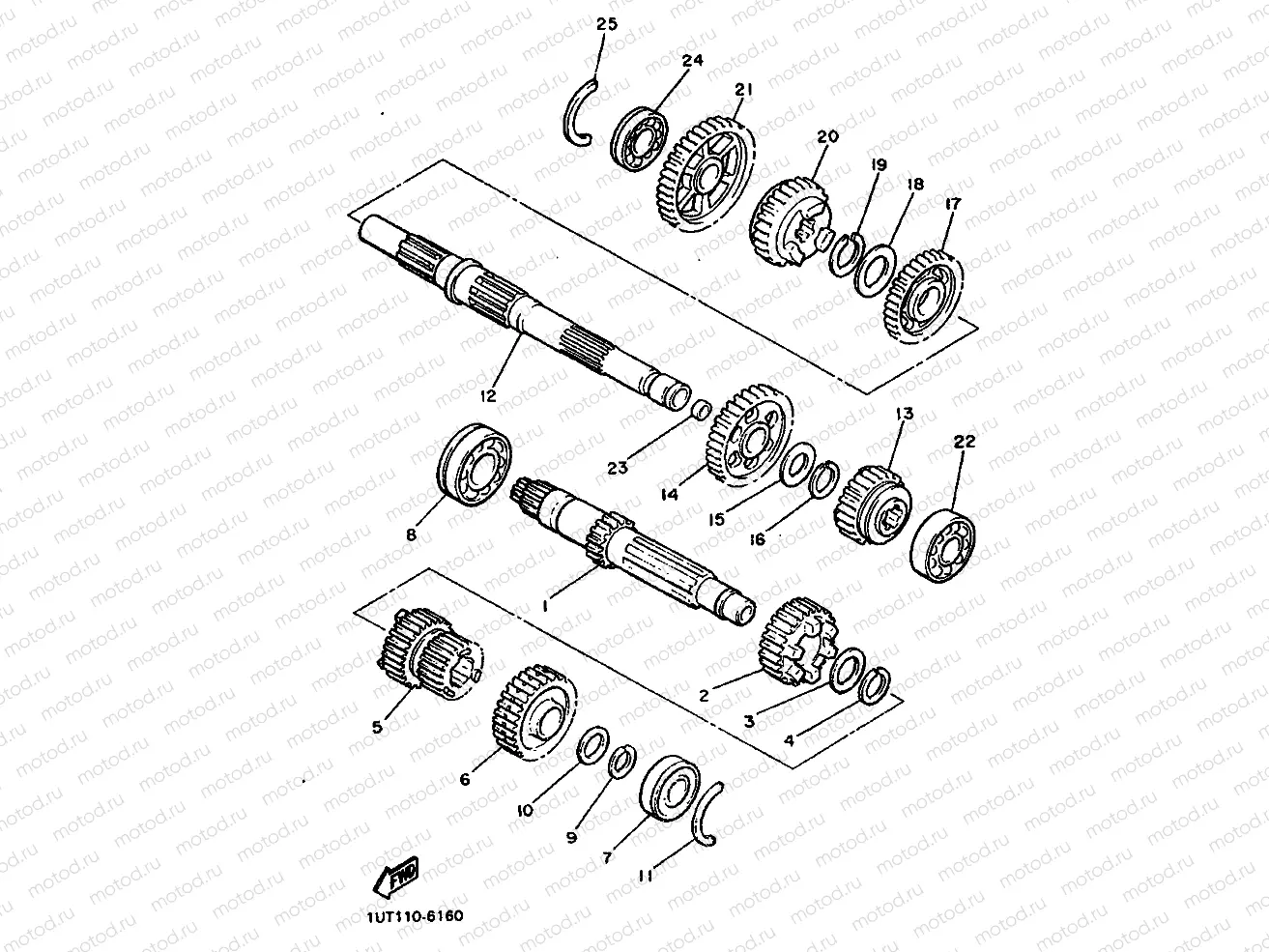 TRANSMISSION