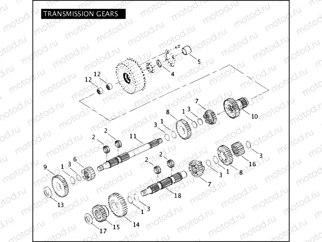 TRANSMISSION GEARS