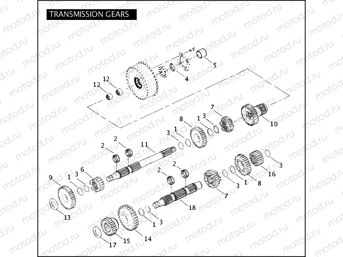 TRANSMISSION GEARS