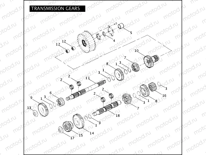 TRANSMISSION GEARS