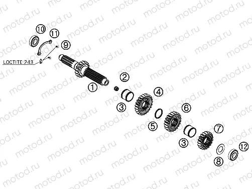 TRANSMISSION I - MAIN SHAFT