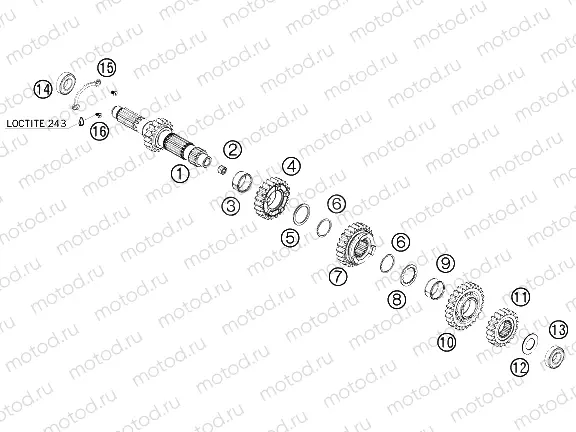 TRANSMISSION I - MAIN SHAFT