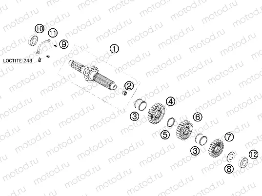 TRANSMISSION I - MAIN SHAFT