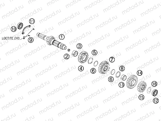 TRANSMISSION I - MAIN SHAFT