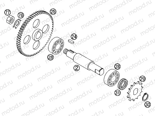 TRANSMISSION II - COUNTERSHAFT