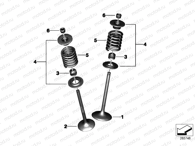 Valves with springs