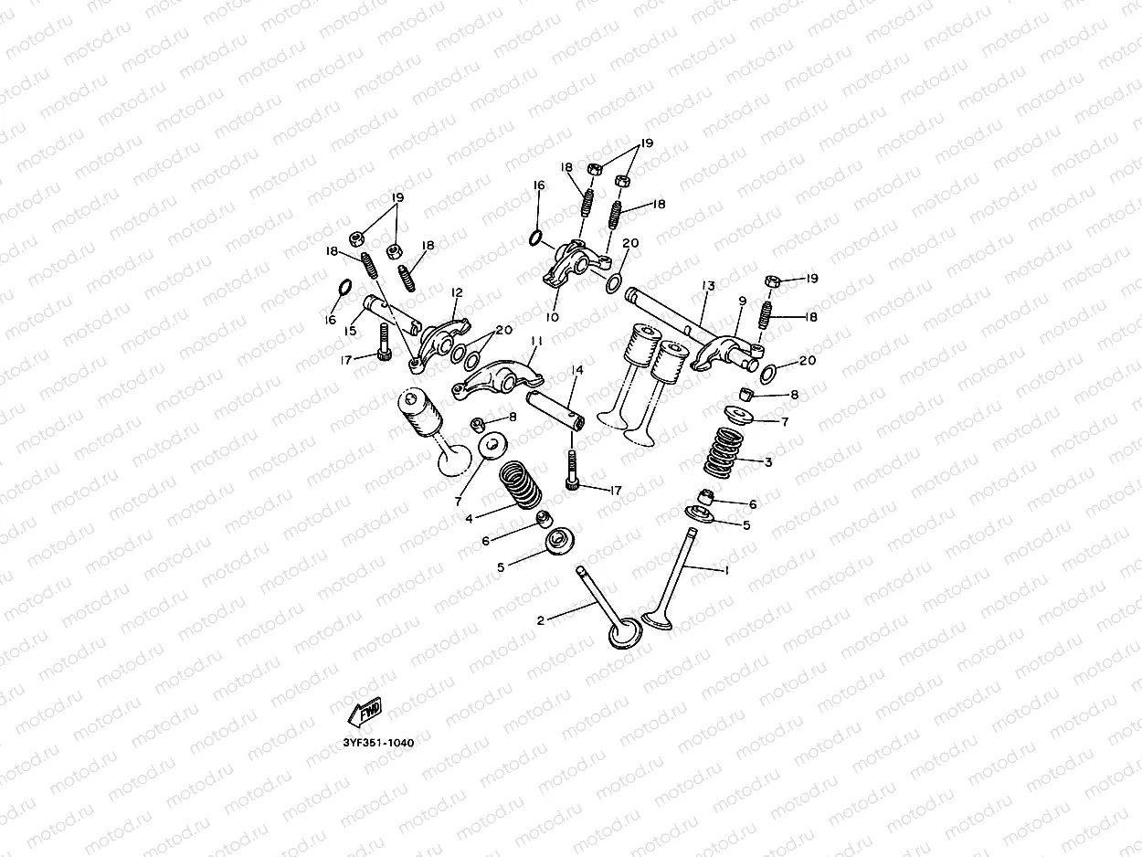 VALVULA