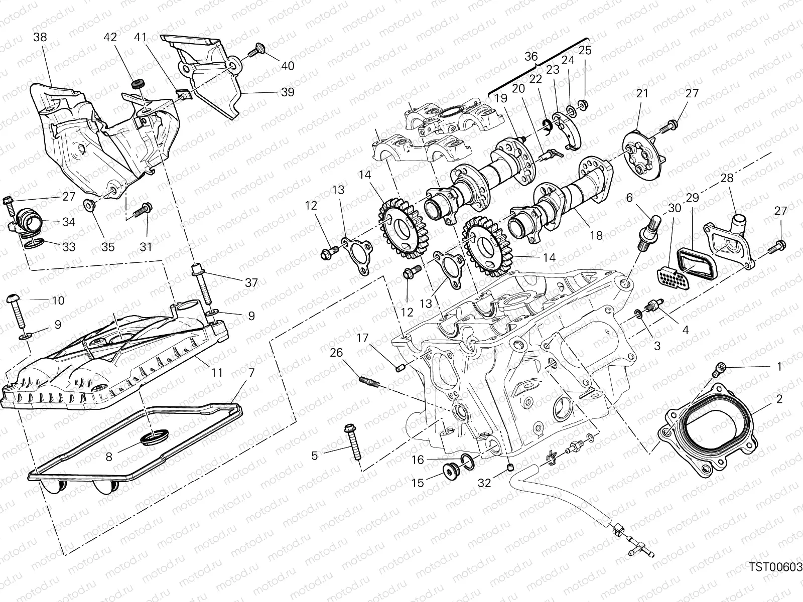 VERTICAL CYLINDER HEAD - TIMING [MOD:1299R FE]